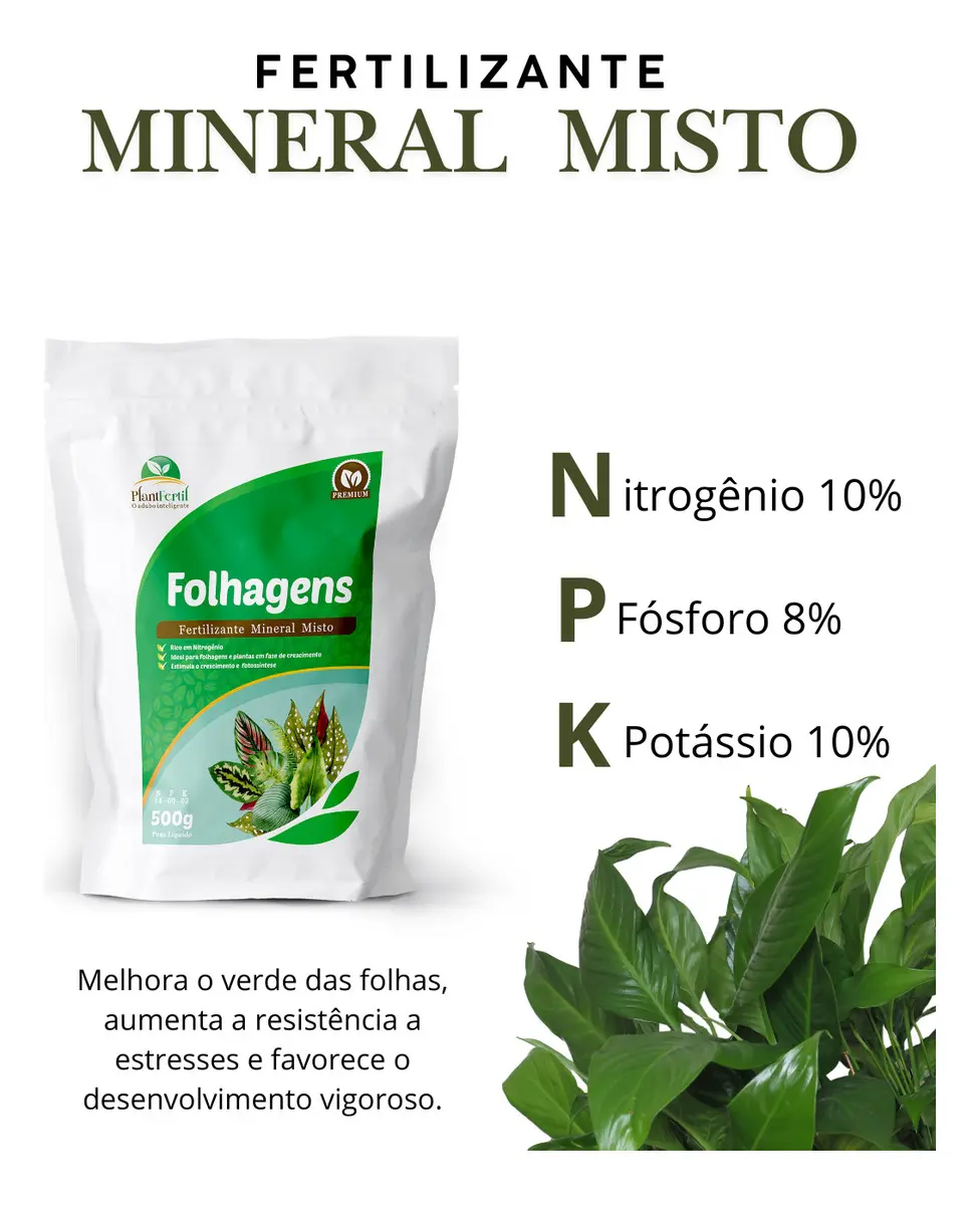 Vaso para zamioculca