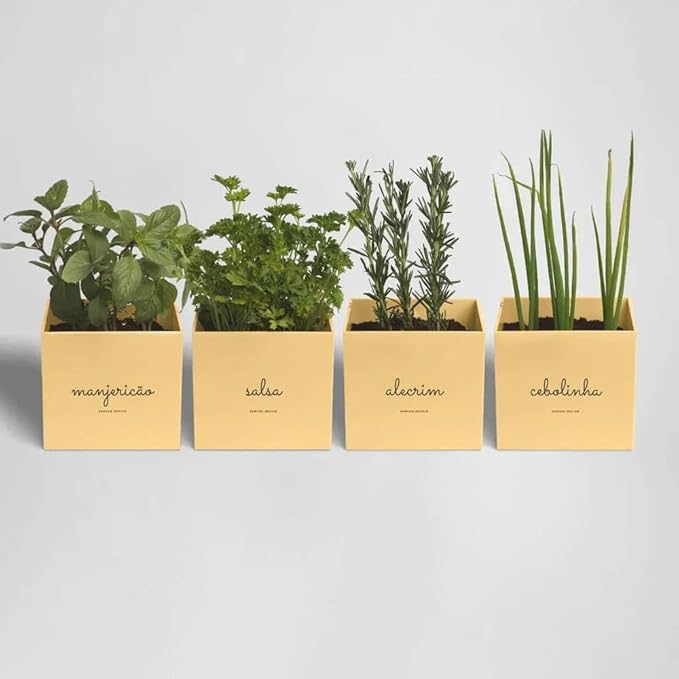 kit horta em apartamento com sementes e vasos