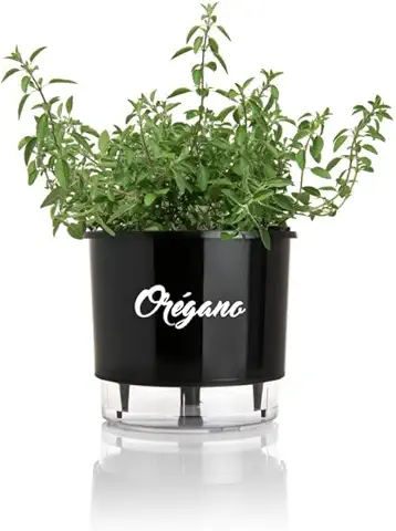 vaso autoirrigável para horta de ervas