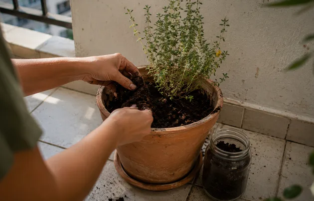 Maos misturando adubo organico pronto em vaso de erva na varanda de apartamento